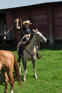 Roping calves on Brother