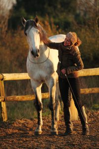 he friendship and trust of a horse is a gift to handle with great care.